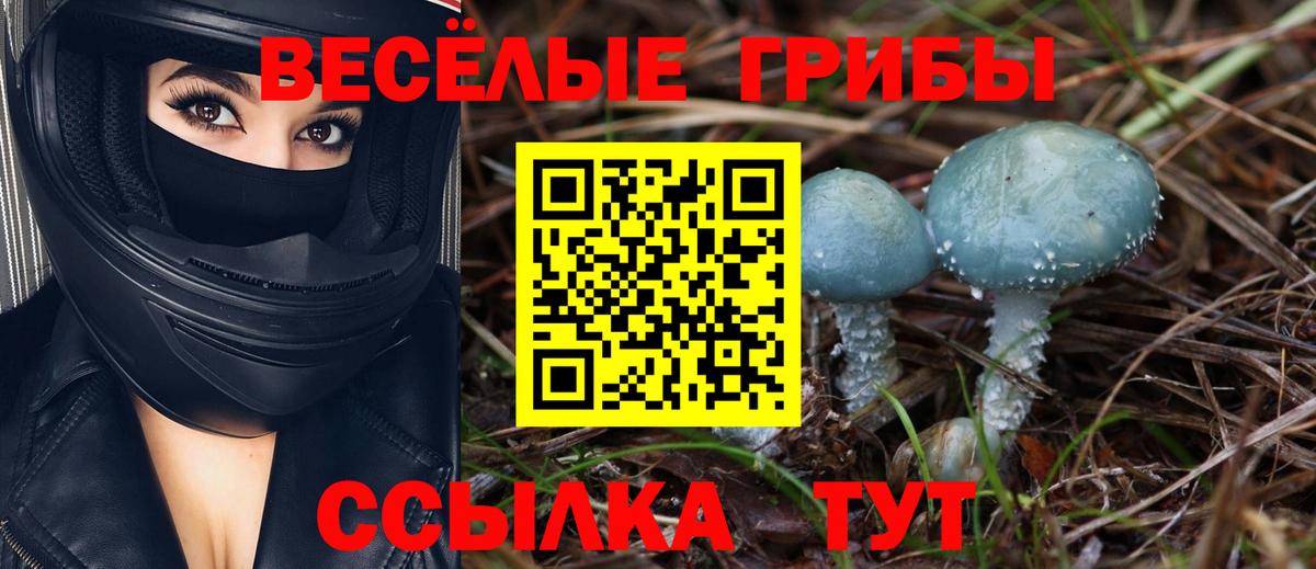 Галлюциногенные грибы Magic Shrooms  Псилоцибиновые грибы мицелий  Черногорск  Вход с VPN 
